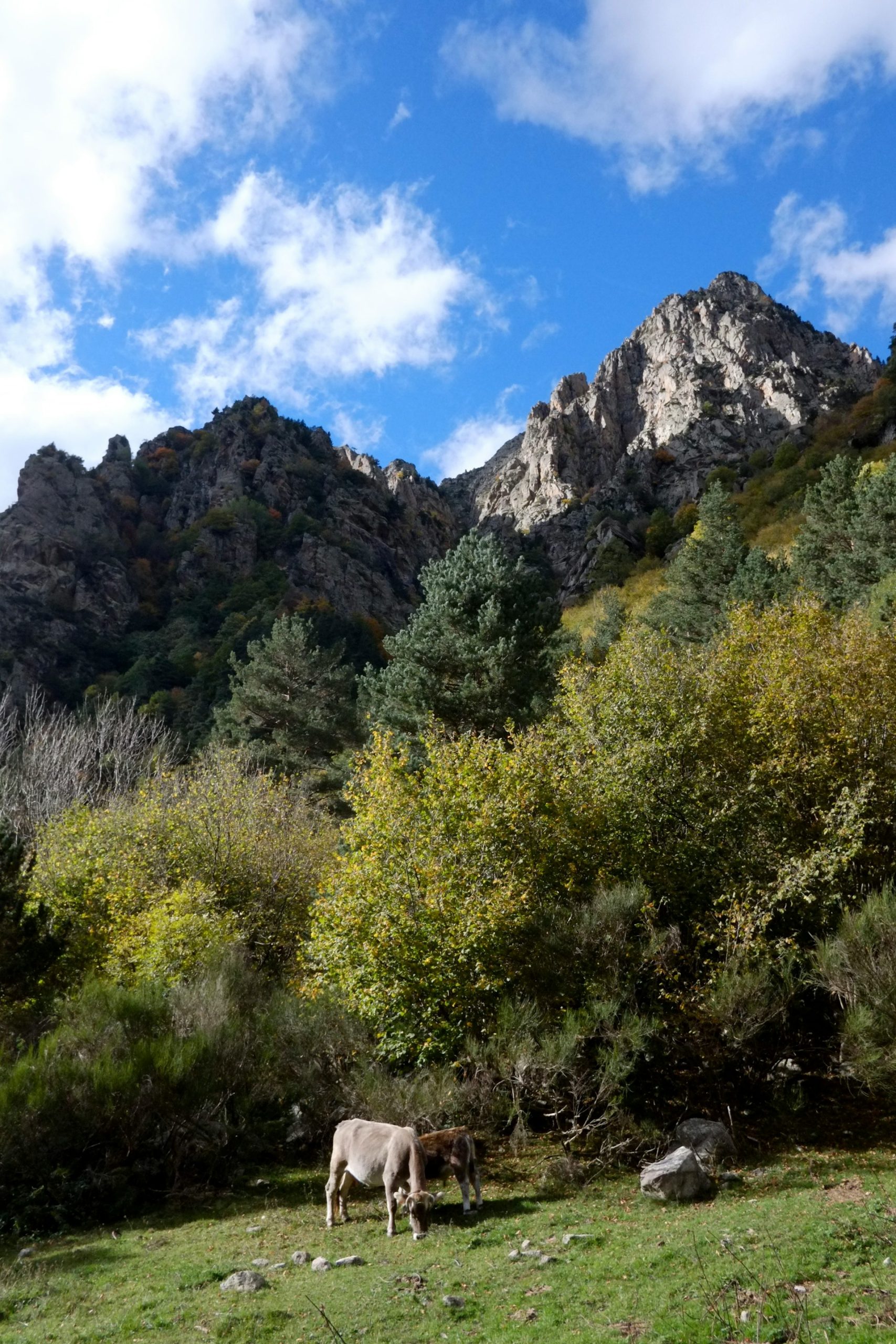 Ruta de los Pirineos catalanes en autocaravana – Candice-fulker